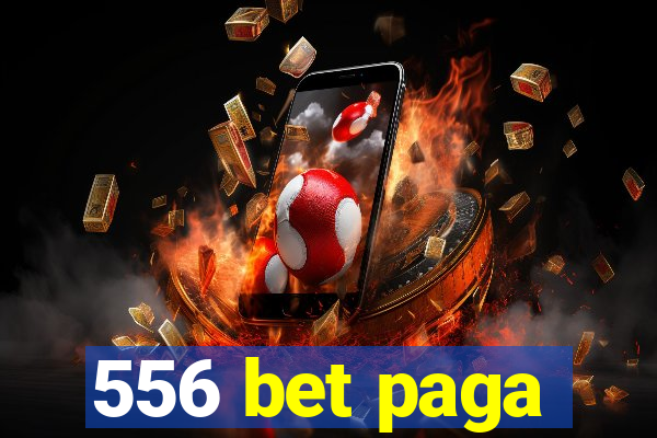556 bet paga